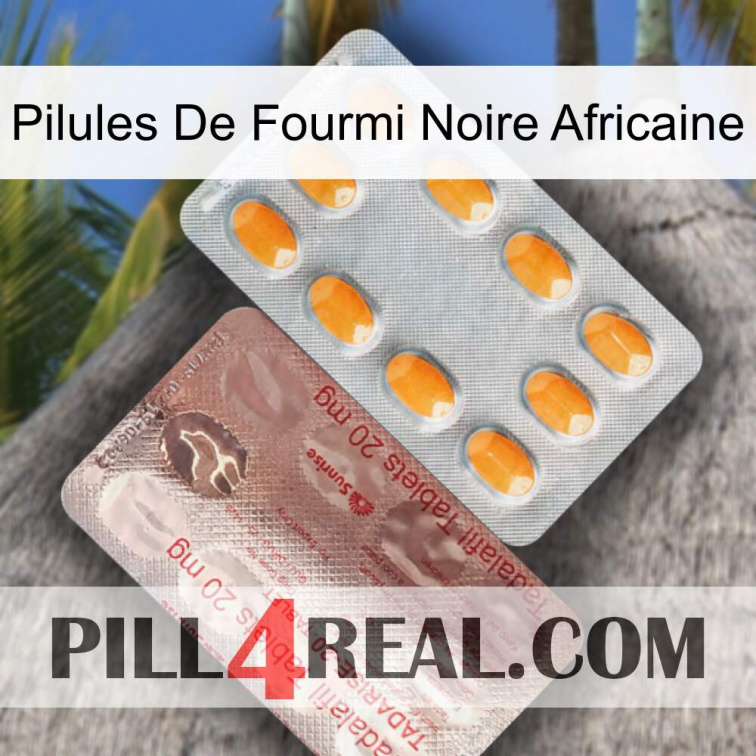 African Black Ant Pills new13